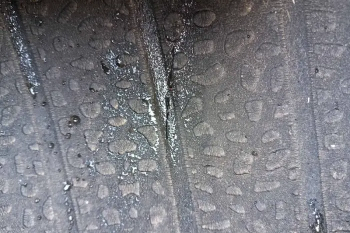 Бу шина 710/75R42 Michelin (пара) Днепр на трактор Fendt John Deer- фото № 5