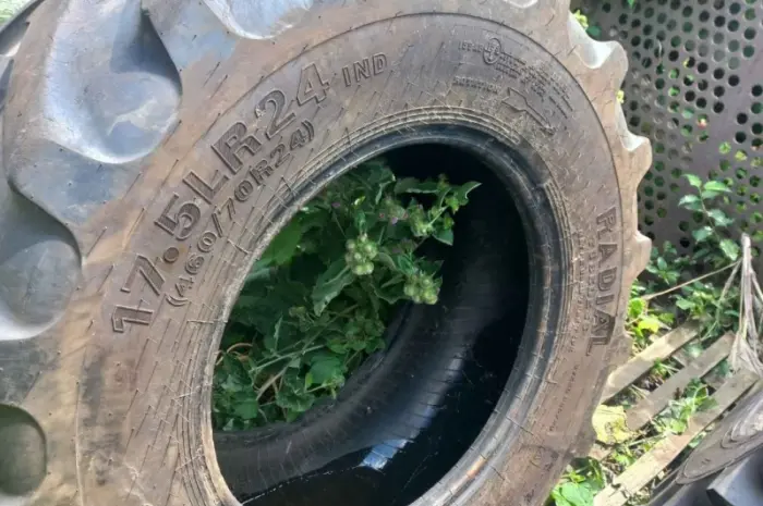 Бу шина 460/70R24 Advance (маниту)- фото № 4