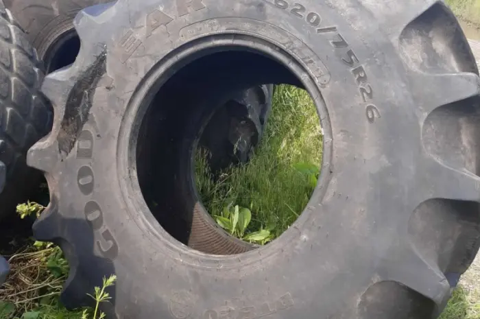 Бу шина 23.1-R26 (620/75р26) GoodYear- фото № 2