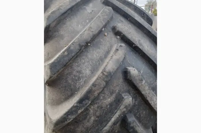 Б/у шина 1050/50R32 Michelin Mega Xbib (Holmer)- фото № 5