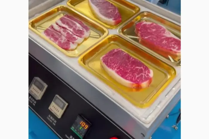 Сварщик лотков (вакуумный трейсер) STvega Tray Sealer L331- фото № 5
