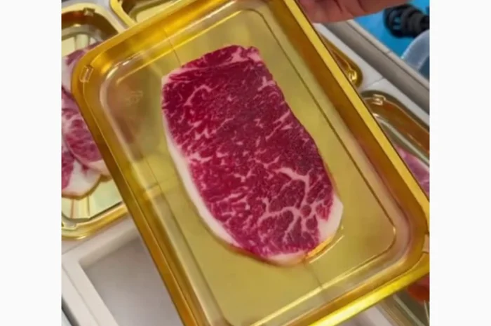 Зварювач лотків (вакуумний трейсилер) STvega Tray Sealer L331- фото № 6