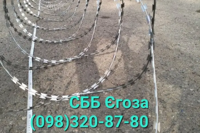 Єгоза бар 'єр- фото № 1
