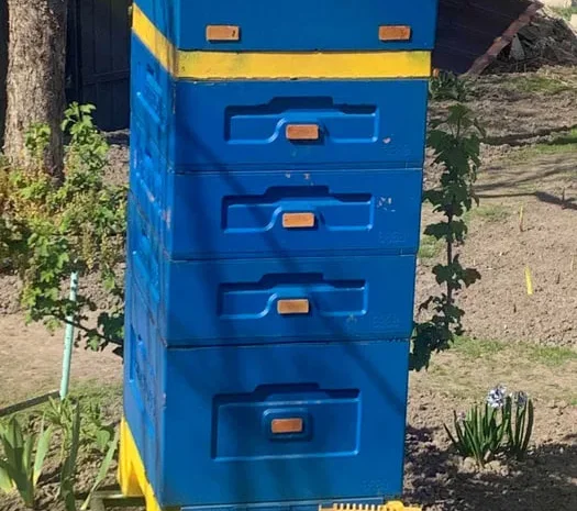 Вулик ППУ BEEHOUSE- фото № 1