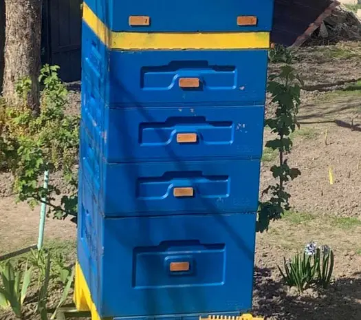 Вулик ППУ BEEHOUSE- фото № 1