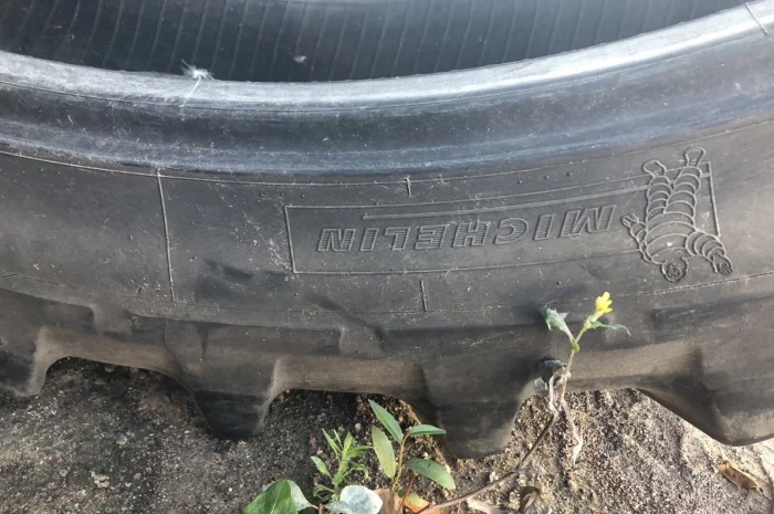 Шини 320/90R54 (12.4R54) Michelin- фото № 1