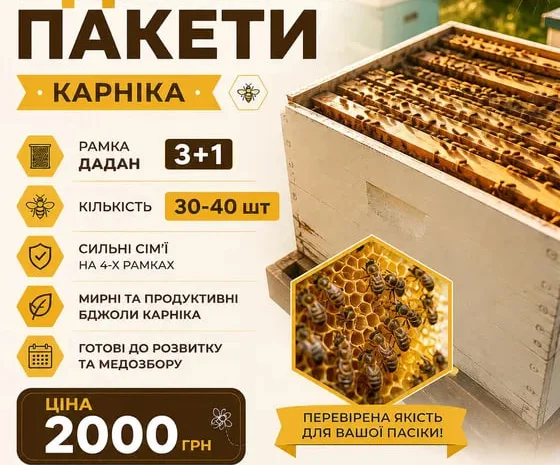 Продам пчелопакеты Карника- фото № 1