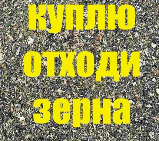 Куплю зерно некондицію отходи зерна соняшника соі- фото № 1
