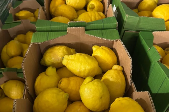 Продаж лимона з Іспанії- фото № 1