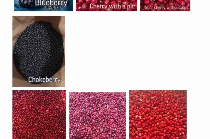 ROKYTNE BERRY- фото № 1