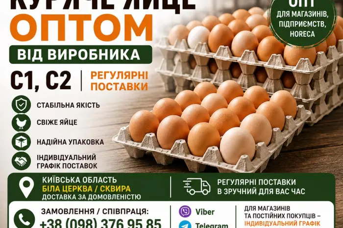 КУРЯЧЕ ЯЙЦЕ ОПТОМ ВІД ВИРОБНИКА С1, С2- фото № 2