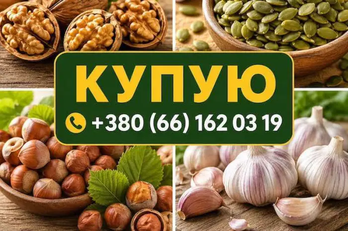 Купую горіх- фото № 1