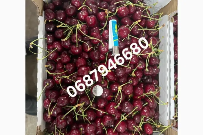 Продам черешню в качестве с сада- фото № 1