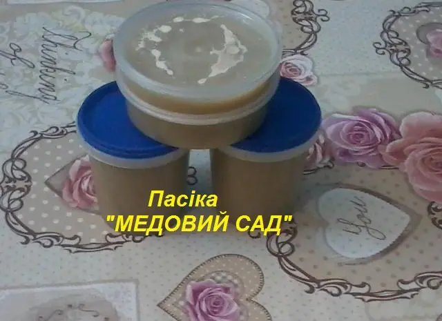 Продам трутневе молочко (гомогенат)- фото № 4