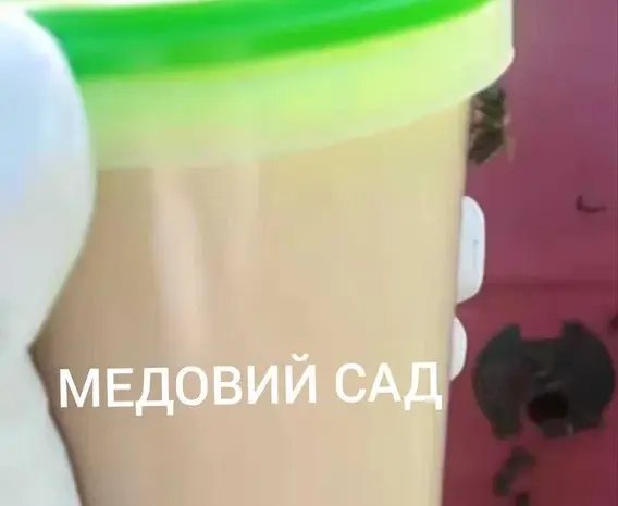Трутневе молочко (гомогенат трутневих личинок)- фото № 1