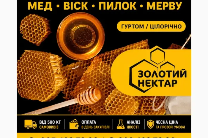 Купаем мед оптом- фото № 1