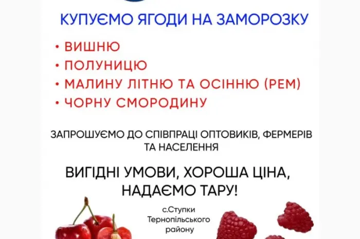 Купуємо смородину чорну- фото № 3