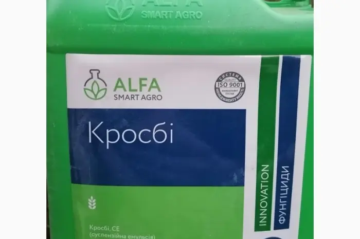 Кросбі Кросби- фото № 2