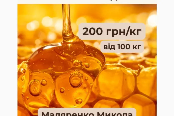 Липовий мед урожаю 2026- фото № 1