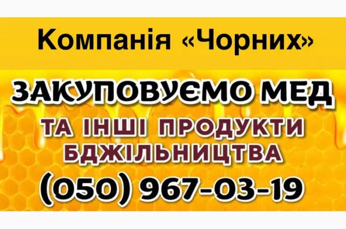 Оптом купуємо мед від 300 кг - Кіровоградщина- фото № 1
