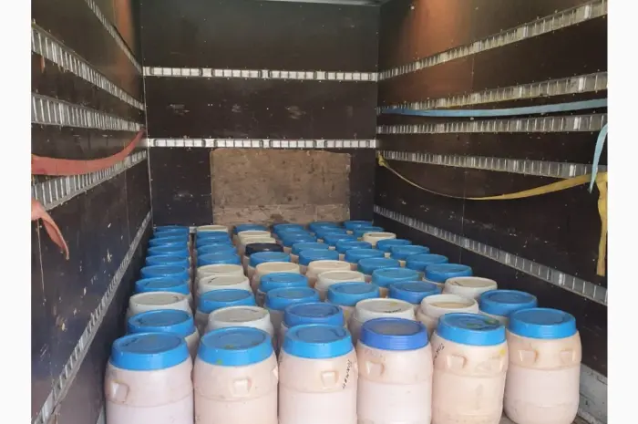 LLC "Honey Standard" закуповує мед у Кіровоградській та Черкаській області- фото № 2
