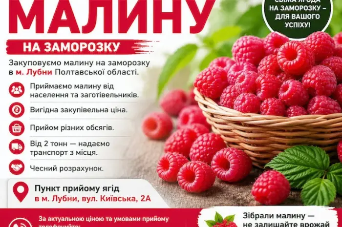 Приймаємо малину на заморозку- фото № 1