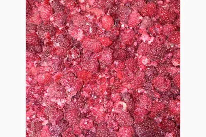 Продам малину гриз- фото № 1