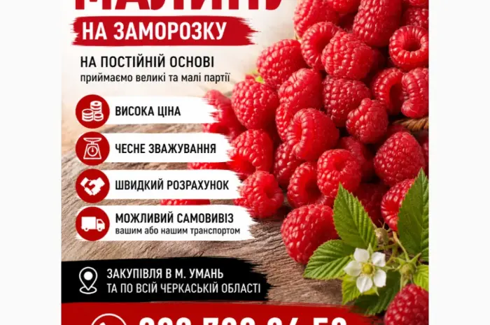 Закуповуємо малину гурт м.Умань 24/7- фото № 1
