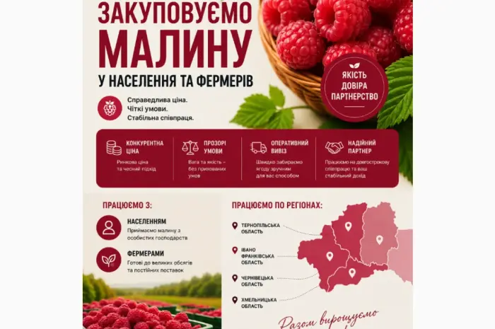 Закупляємо свіжу малину сезон 2026- фото № 1