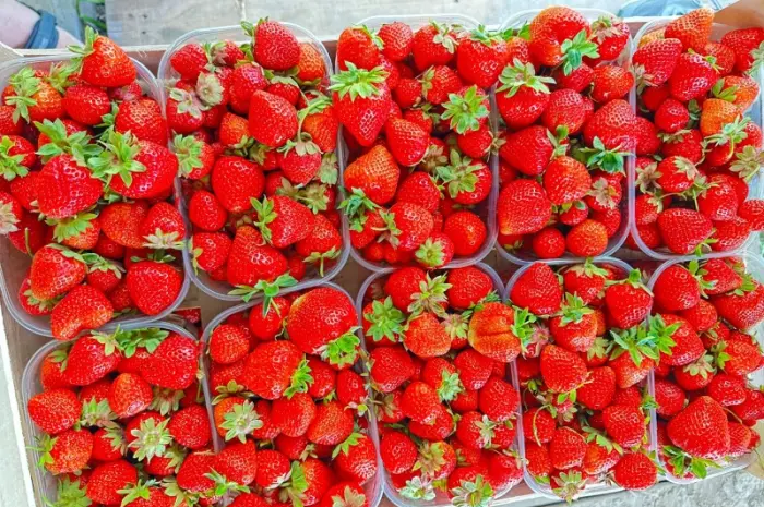 Продам Полуницю- фото № 1