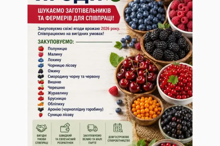 Закуповуємо ягоди- фото № 1