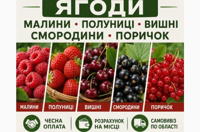 Підпиємство купує ягоди Полуниць- фото № 1