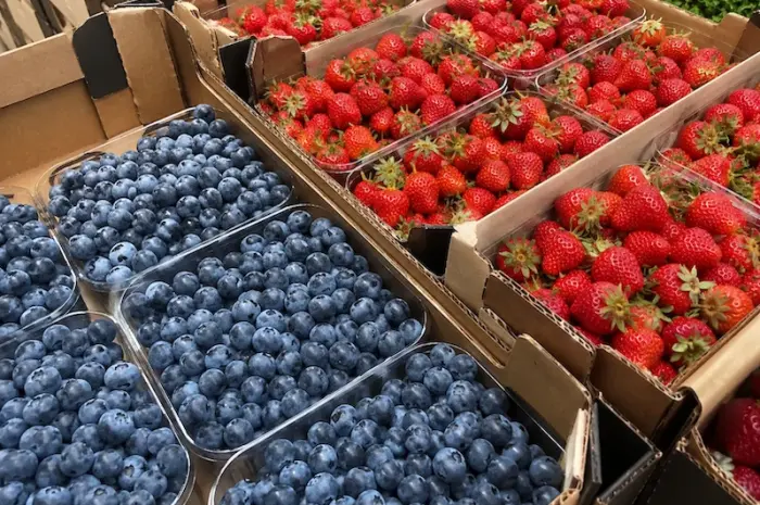 Свіжа полуниця та лохина на продаж- фото № 1