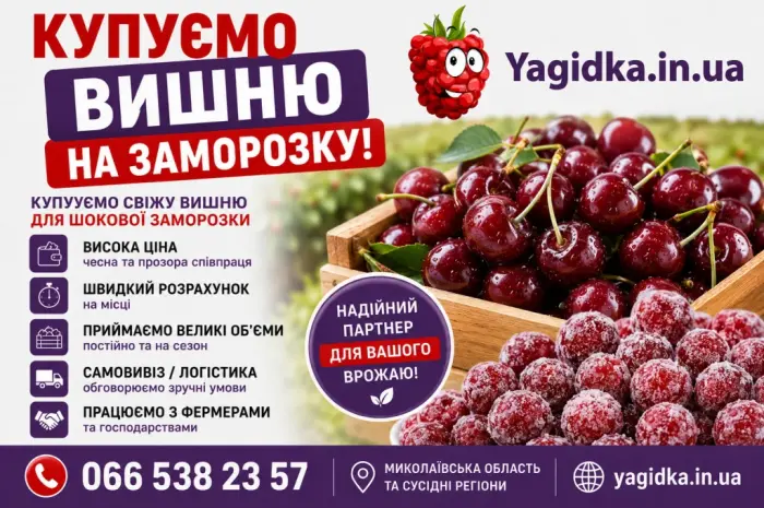 Куплю вишню- фото № 1