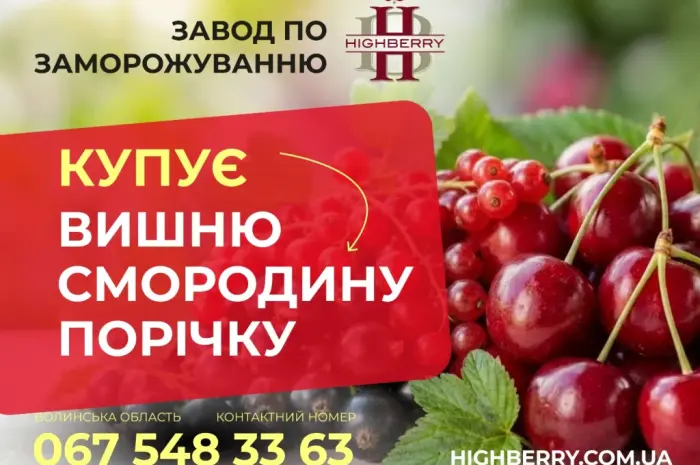 Купуємо ВИШНЮ- фото № 1