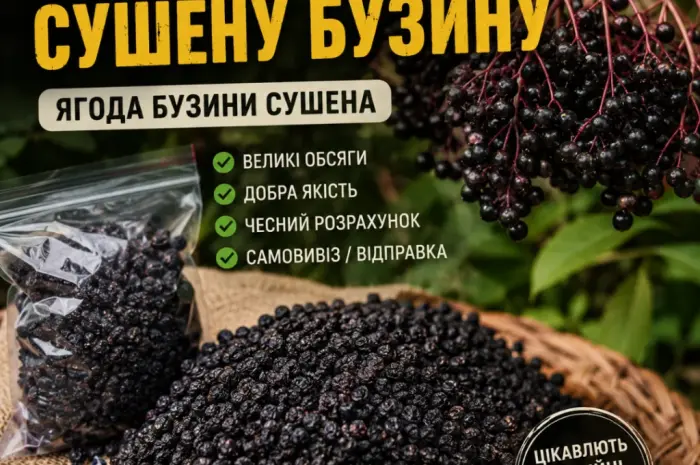 Куплю сушену бузину- фото № 1