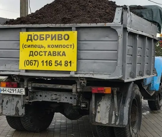Продаєм сипець- фото № 1