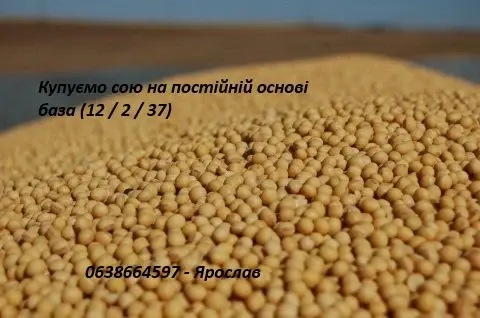 КУПАЕМ СОЮ на постоянной основе (база)- фото № 1
