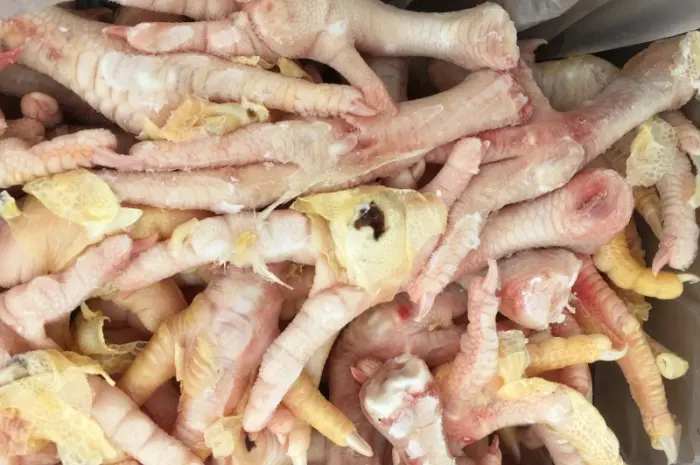 Продаем и Экспортируем куриную лапу класс С- фото № 1