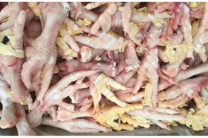 Продаем и Экспортируем куриную лапу класс С- фото № 2