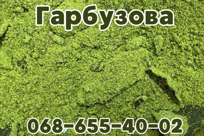 Гарбузовий жмих/тыквенная макуха. Макуха из семян тыквы. Опт и розница- фото № 2