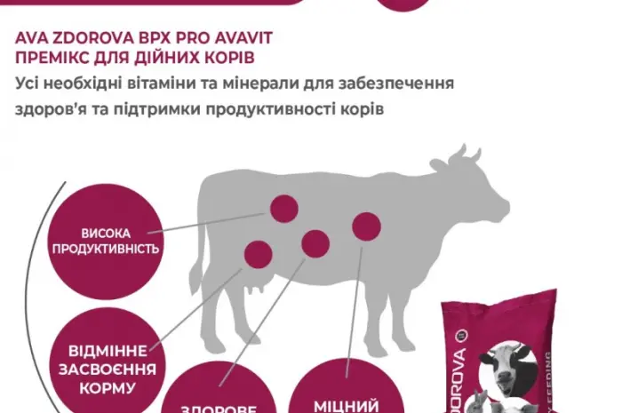 Премікс для дійних корів AVA ZDOROVA ВРХ PRO Avavit- фото № 3