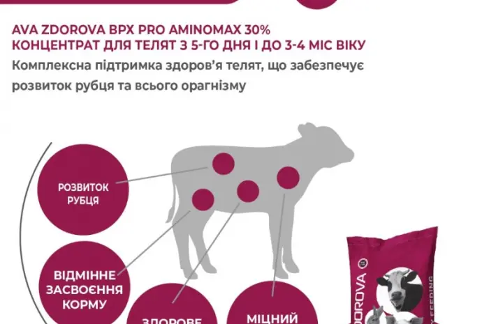 Гранульований концентрат для телят з перших днів AVA ZDOROVA ВРХ PRO AminoMax 30%- фото № 3