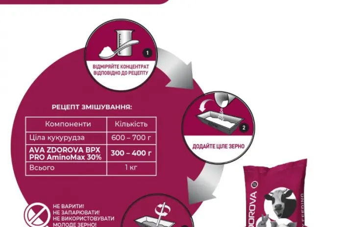 Гранульований концентрат для телят з перших днів AVA ZDOROVA ВРХ PRO AminoMax 30%- фото № 4