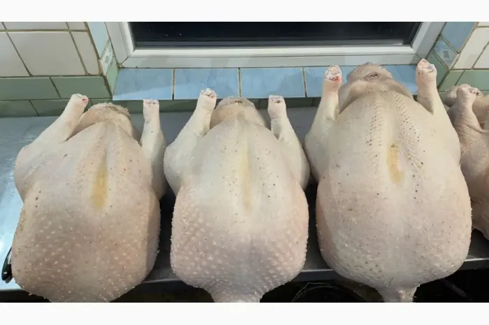 Продам тушки домашньої індички- фото № 2