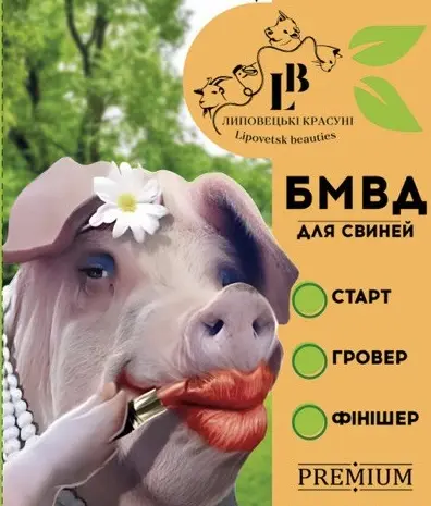 БМВД для свиней- фото № 1