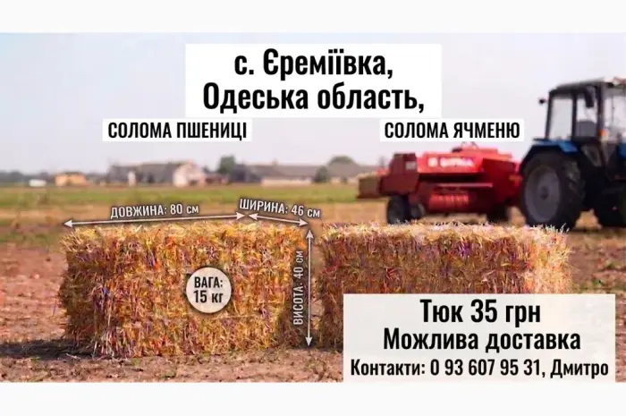Солома в тюках (пшенична- фото № 1