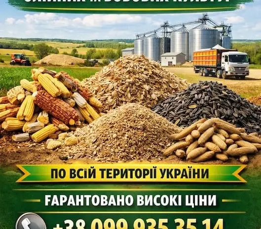 Купуємо зерновідходи та некондицію по Україні. Працюємо з посередниками- фото № 1