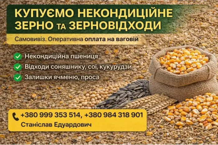 Купуємо некондицію та зерновідходи на постійній основі- фото № 1