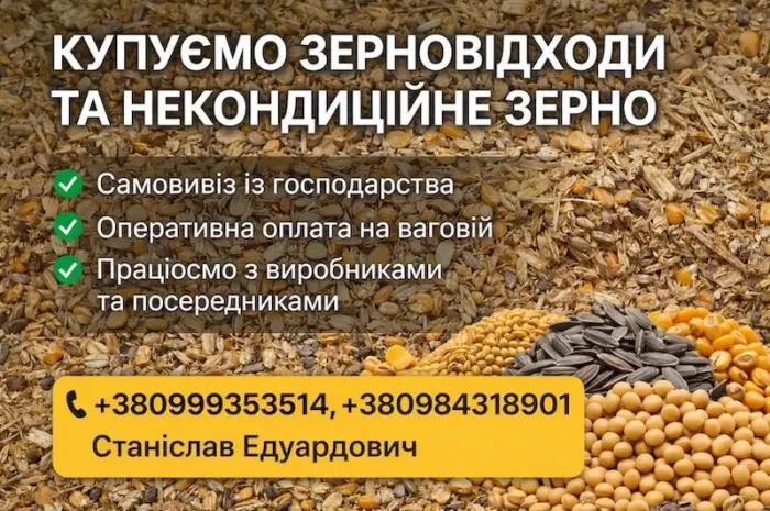 Купуємо зерновідходи та некондицію на постійній основі- фото № 1